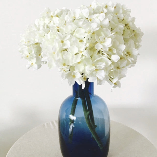 Mophead Hydrangea - Luna white