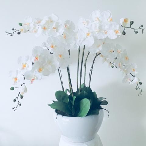 White &amp; Yellow Orchid - 7 stem arrangement