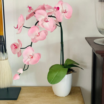 Light pink orchid - single stem