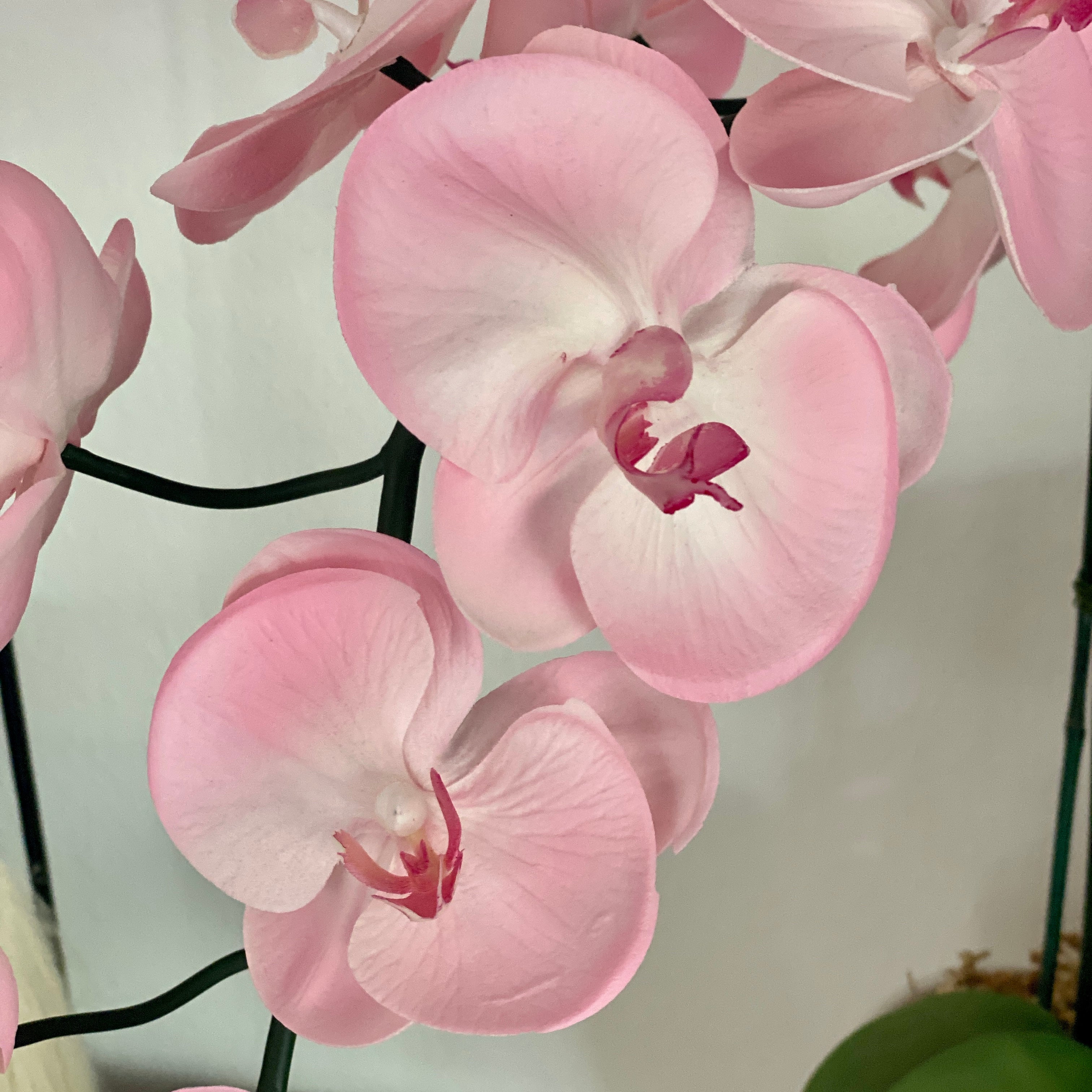 Light pink orchid - single stem – Silk Flowers Singapore