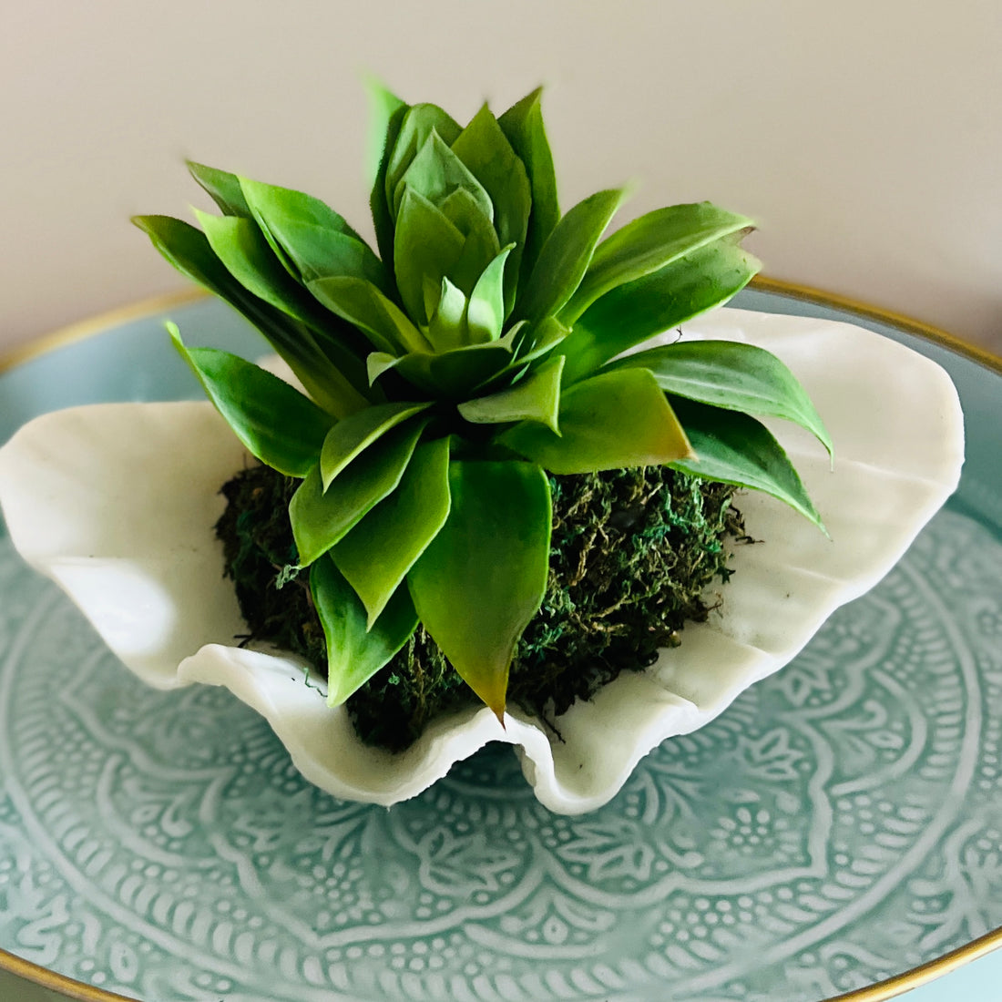 Faux succulent in shell