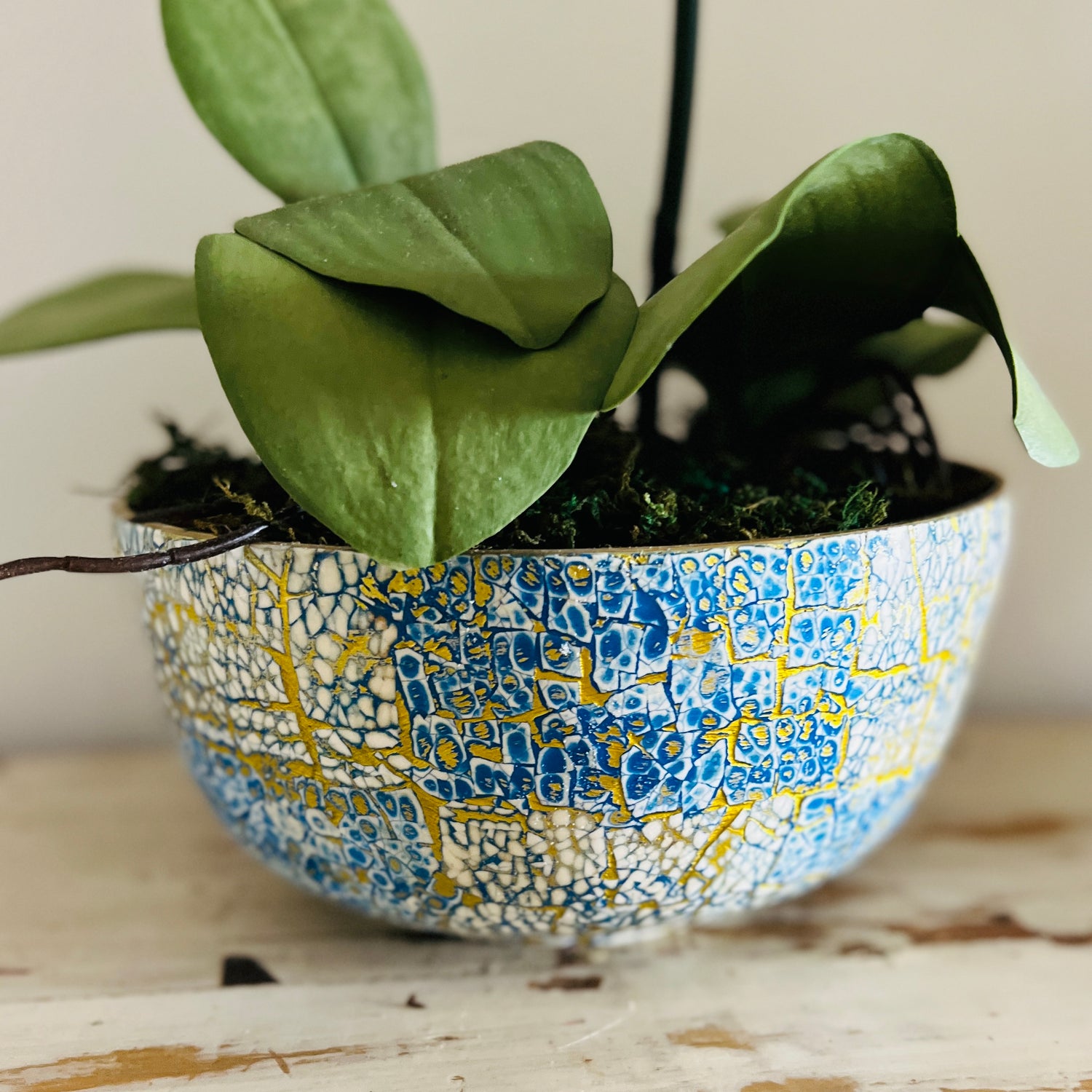Double orchid in Vietnamese bowl