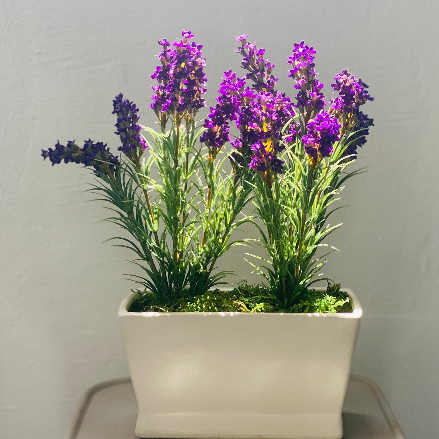 lavender plant singapore Lavender in planter – Silk Flowers Singapore