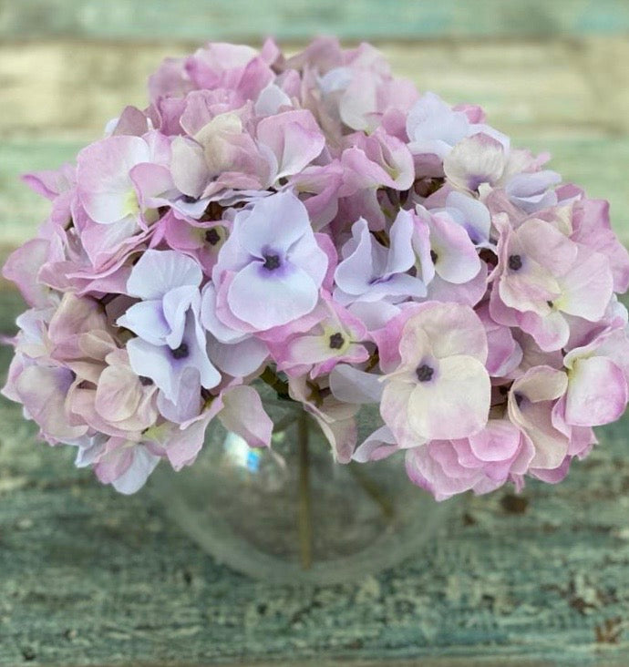 Hydrangeas in Glass Bowl