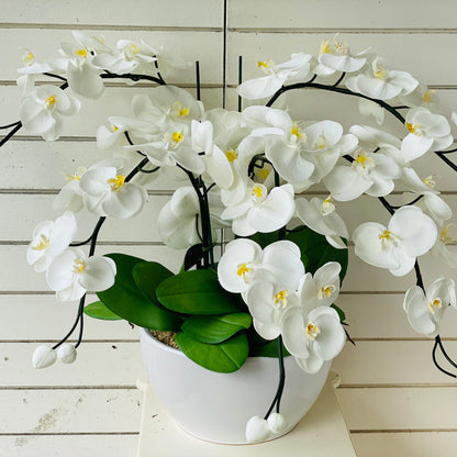 White &amp; Yellow Orchid - 5 stem arrangement