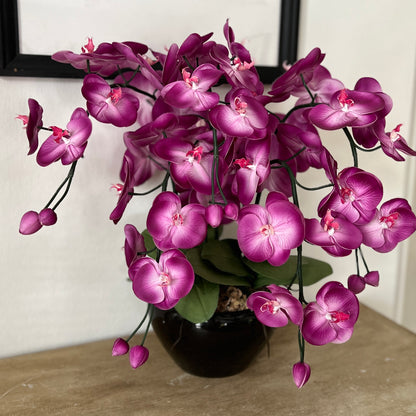 Purple Orchid - 5 stem arrangement