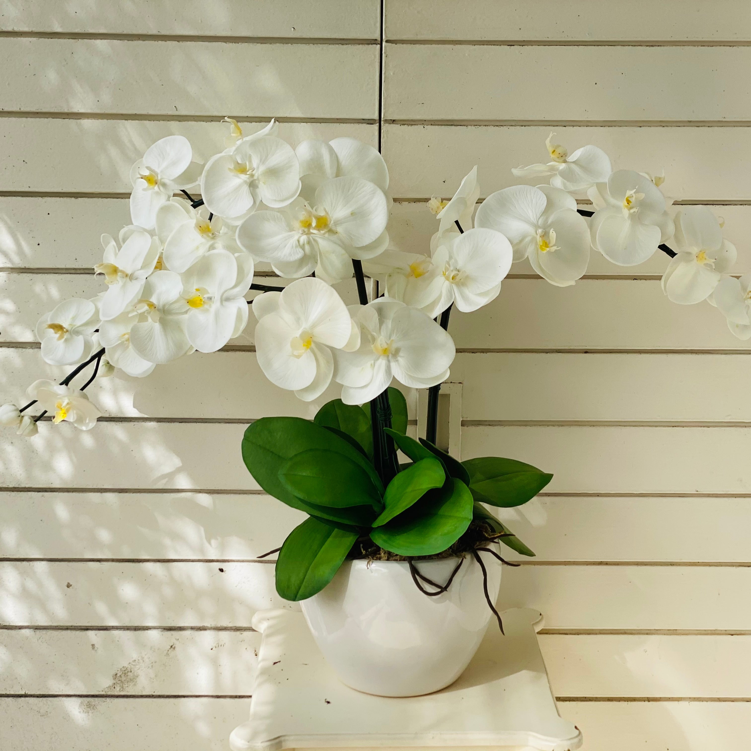 White &amp; Yellow Orchid - 3 stem arrangement