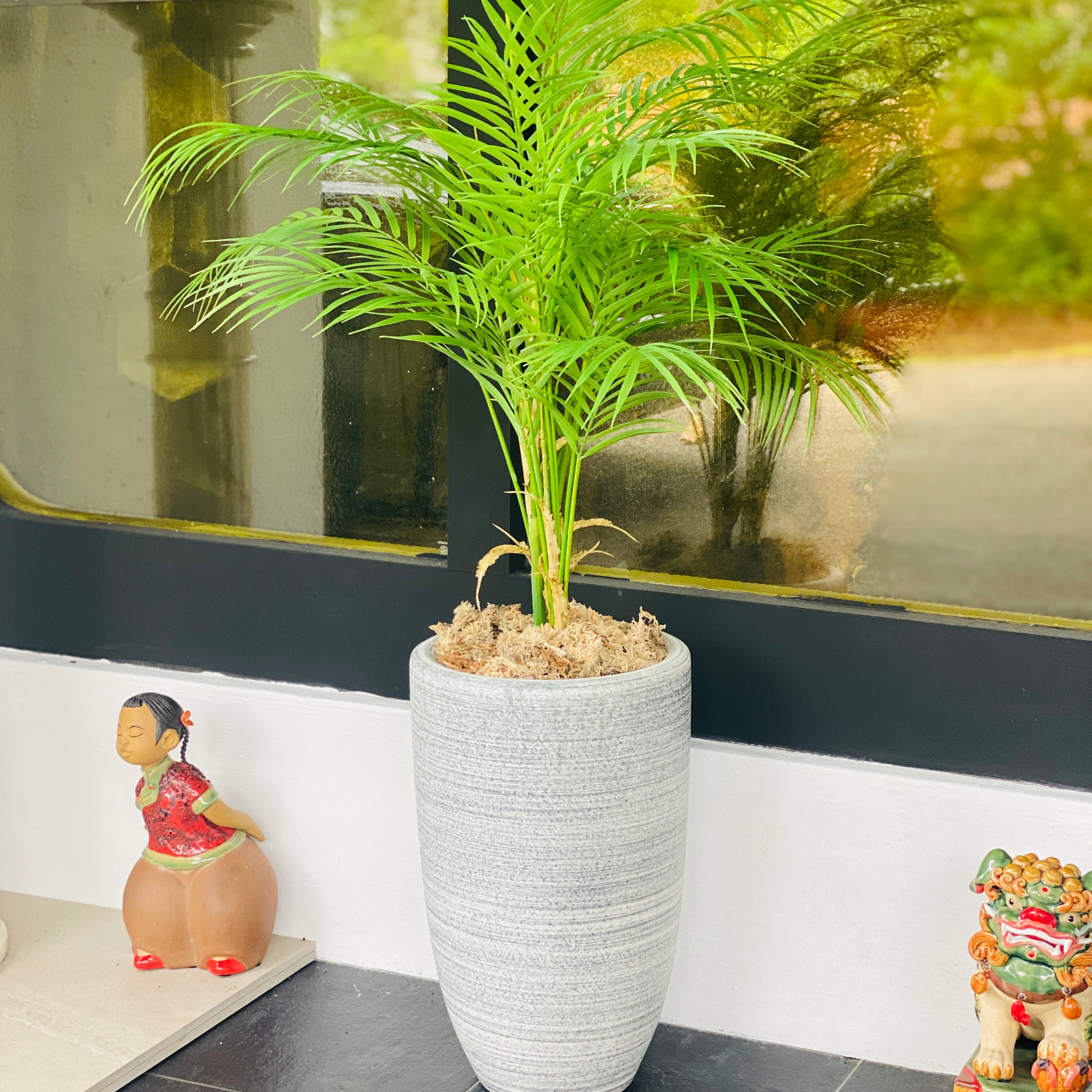Tall Palm Plant in grey vase