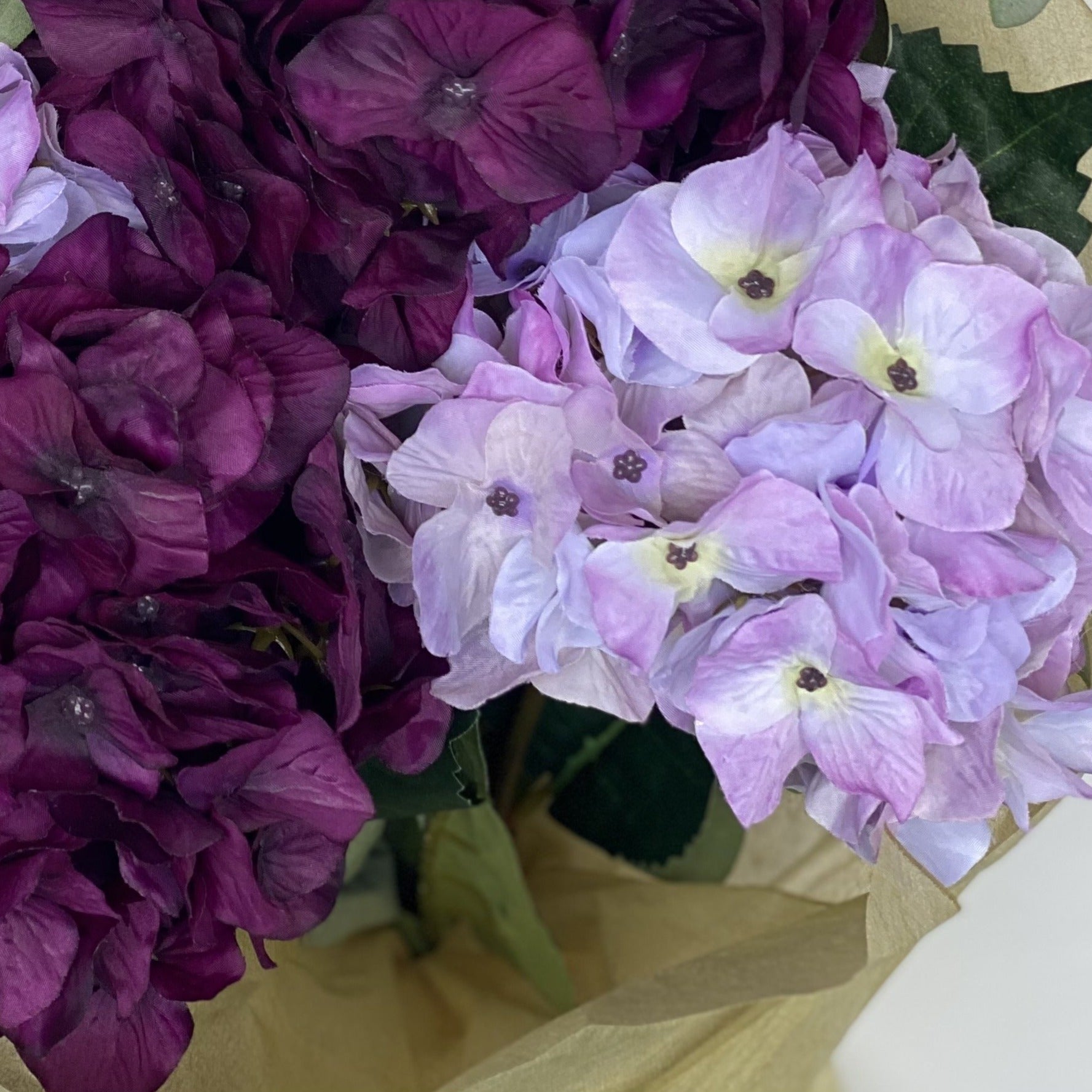 aubergine hydrangea