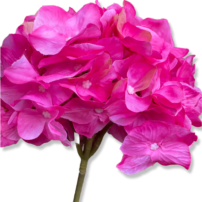 French Hydrangea - Fuschia Pink