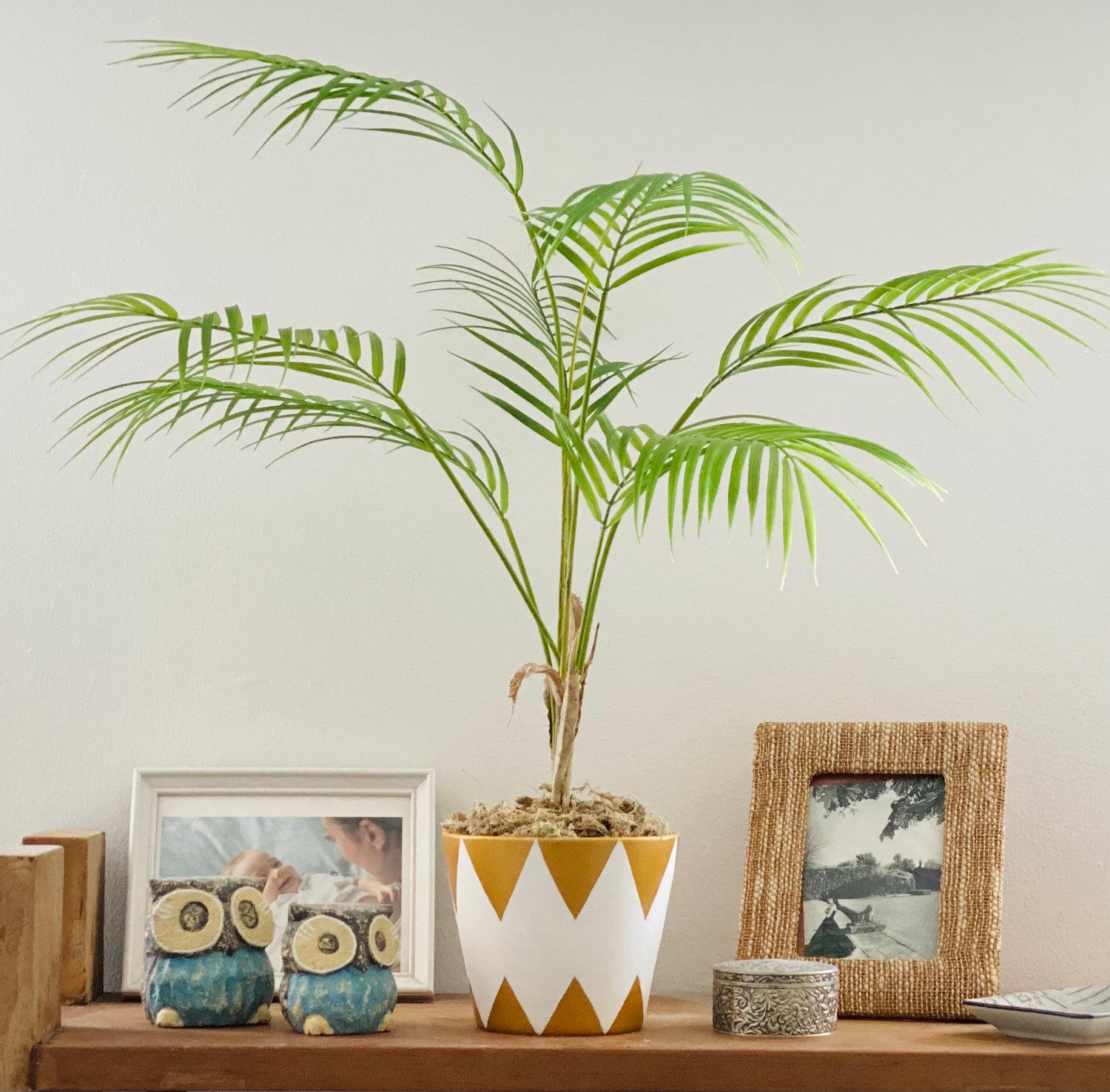 Faux potted Palm in Gold &amp; White Design