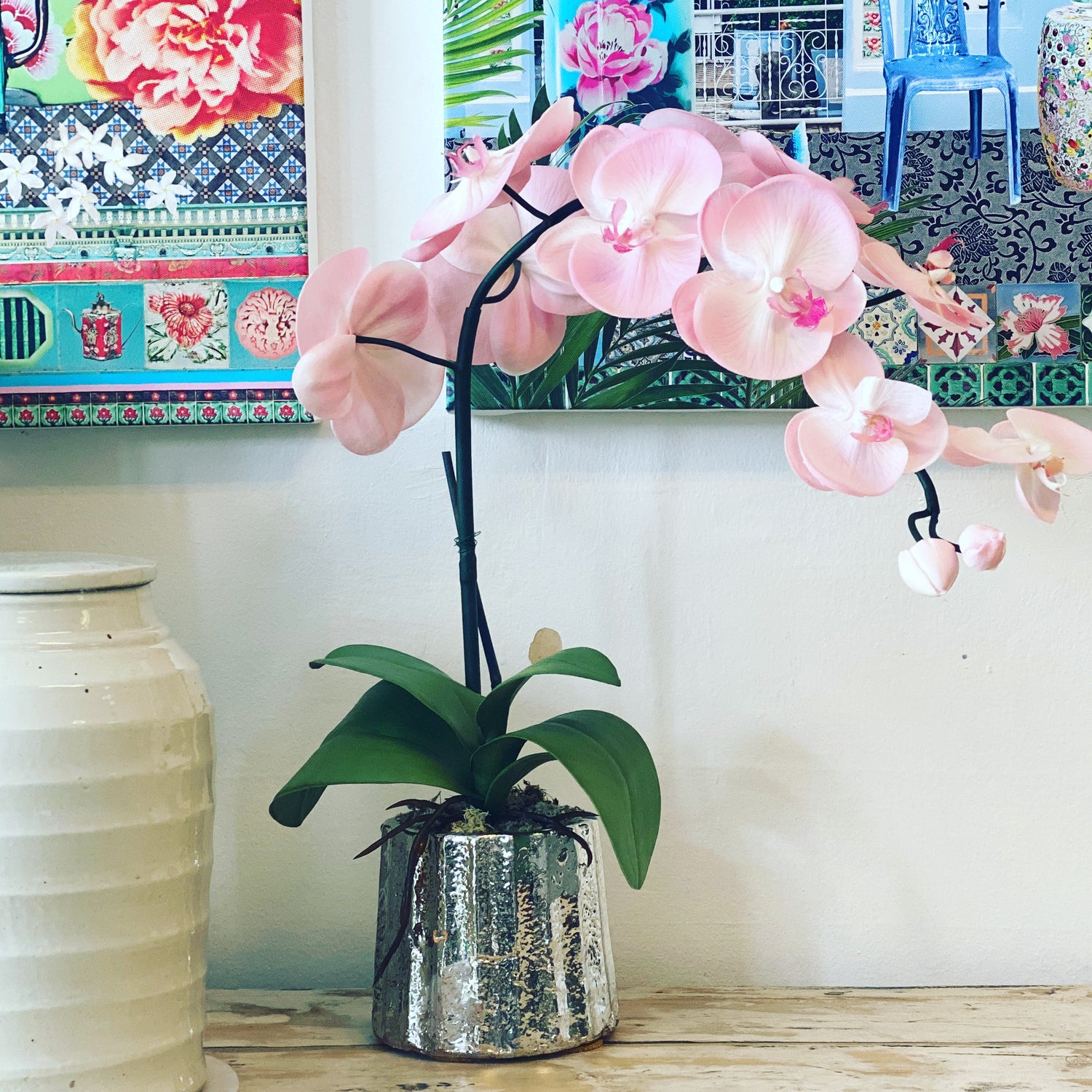 Pink orchid in Celia silver planter