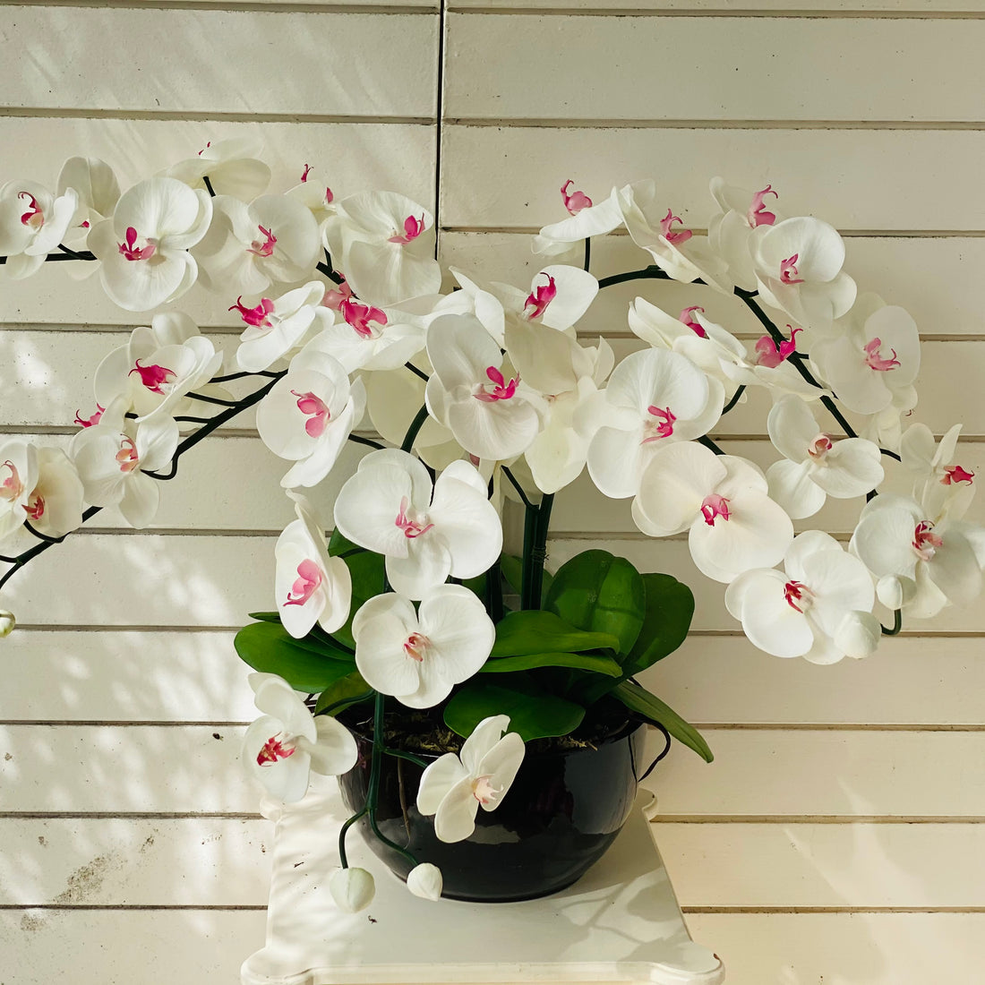 White & Pink Orchid - 5 stem arrangement