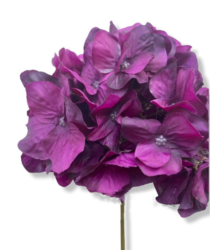 French Hydrangea - Aubergine