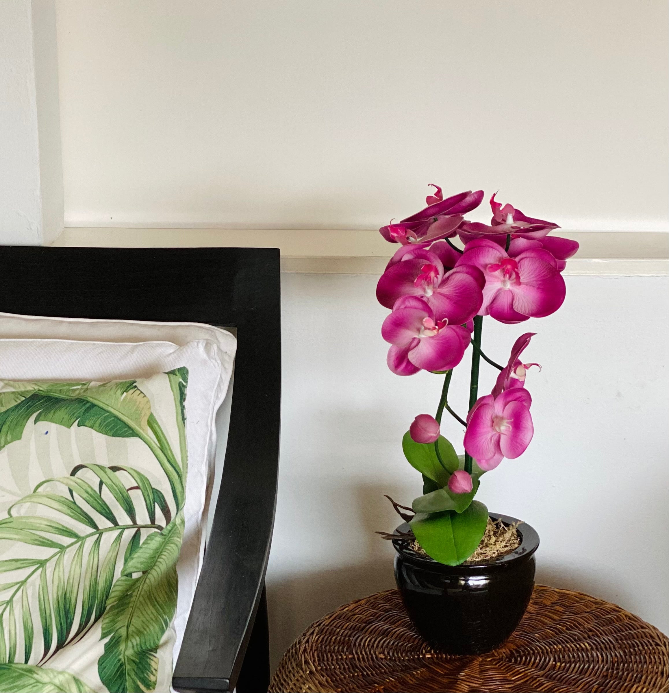 Purple Orchid - Single stem arrangement